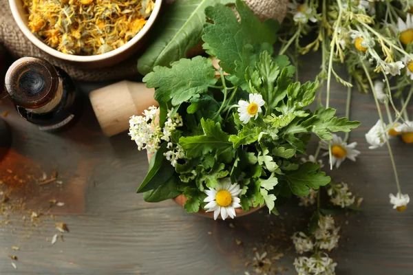 Ervas, bagas e flores com argamassa, sobre fundo de mesa de madeira — Fotografia de Stock