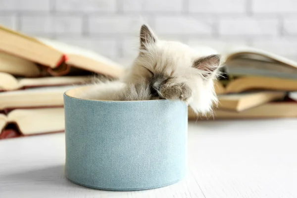 Niedliche kleine Katze in Box in der Nähe von Büchern auf hellem Hintergrund — Stockfoto
