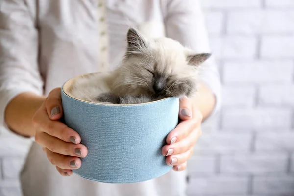 Young woman holding box with cat on light wall background — Stock Photo, Image