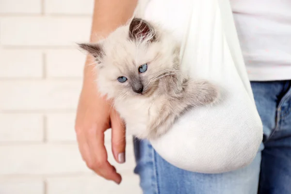 Giovane donna che tiene gatto su sfondo parete leggera — Foto Stock