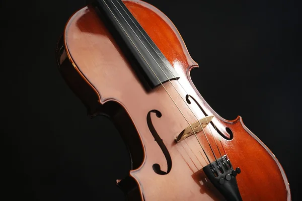 Violino clássico sobre fundo escuro — Fotografia de Stock