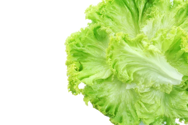 Frischer Salat isoliert auf weiß — Stockfoto
