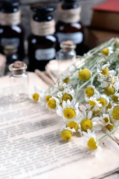 Livro velho com flores secas e garrafas na mesa de perto — Fotografia de Stock