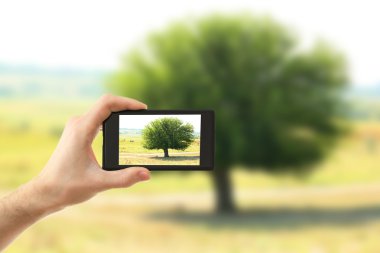 El alarak fotoğraf alanı yanında smartphone içinde ağaç