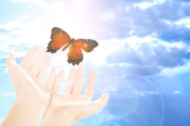 İnsan eli ile gökyüzü arka plan üzerinde Kelebek