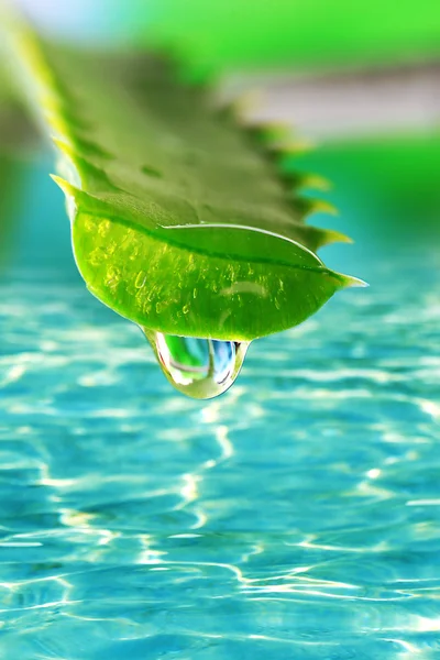 Hoja de aloe con gota sobre fondo de agua —  Fotos de Stock