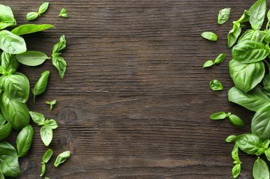 Yeşil taze fesleğen