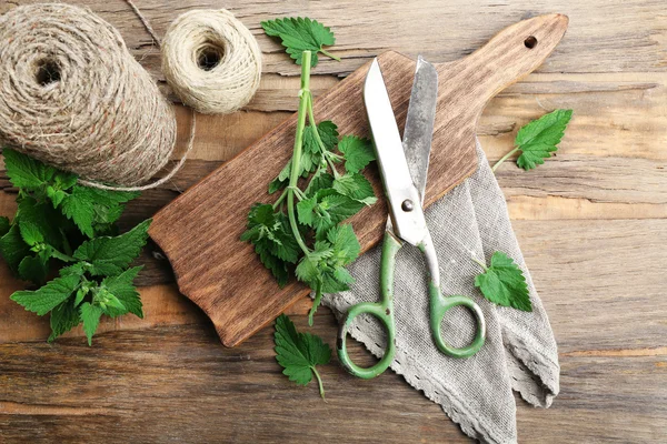 Leaves of lemon balm with scissors and rope — Stock Photo, Image