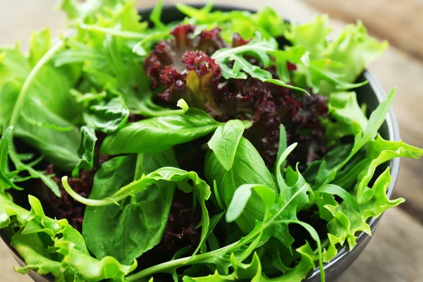 Schüssel mit gemischtem grünen Salat — Stockfoto