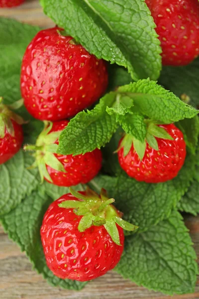 Fraises mûres aux feuilles — Photo