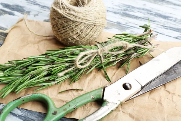 Rosemary sprigs with rope and scissors — Stock Photo, Image