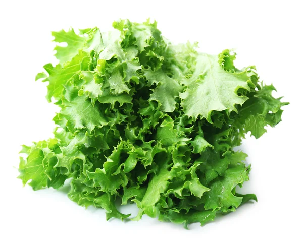 Fresh lettuce leaves — Stock Photo, Image