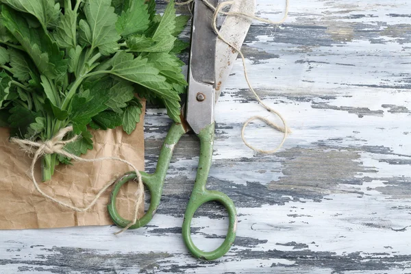 Leaves of lemon balm with scissors on wooden background — Stock Photo, Image