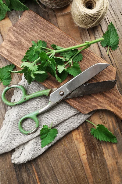 Leaves of lemon balm with scissors and rope on wooden cutting board, closeup — Stock Photo, Image