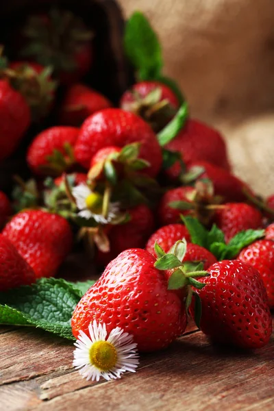 Red ripe strawberries in wicker basket — Stock Photo, Image