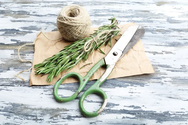 Rosemary sprigs with rope and scissors — Stock Photo, Image