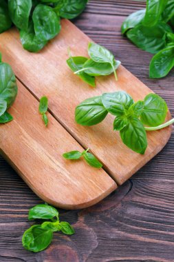 ahşap zemin üzerine yeşil taze fesleğen