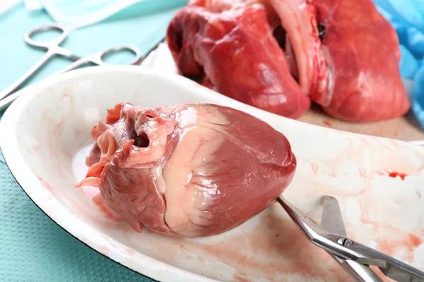 Organo cardiaco in vassoio metallico medico con utensili sul tavolo, primo piano — Foto Stock