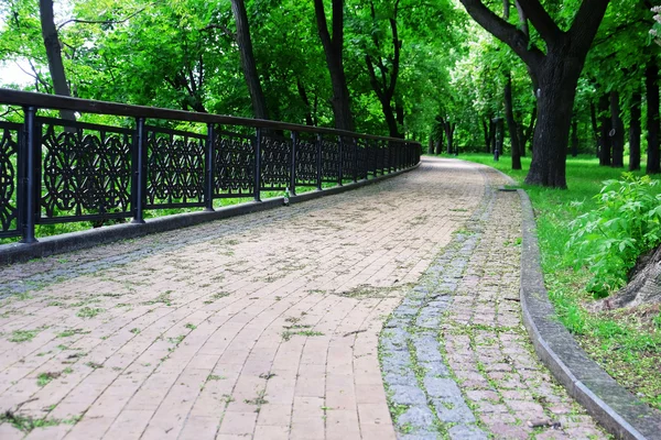 Зелена алея міського парку — стокове фото