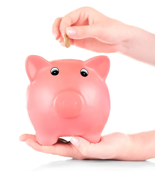 Hand inserting money into piggy bank isolated on white — Stock Photo, Image