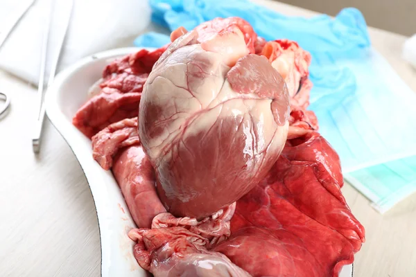 Heart organ in medical metal tray with tools on table, closeup — Stock Photo, Image