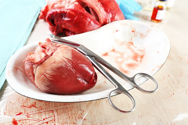 Heart organ in medical metal tray with tools on table, closeup — Stock Photo, Image