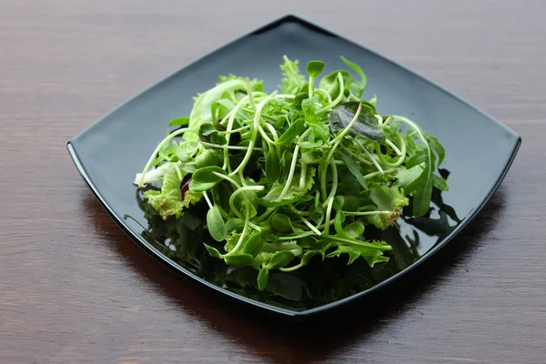 Taze karışık yeşil salata — Stok fotoğraf