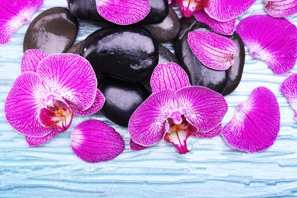 Violette Orchidee und Zen-Steine — Stockfoto