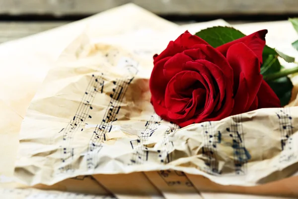 Schöne Rose auf zerknüllten Notenblättern auf Holztisch, Nahaufnahme — Stockfoto