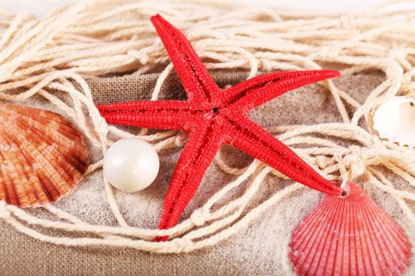 Sammlung von Muscheln mit Sand auf Sacktuch, Nahaufnahme — Stockfoto