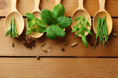 tahta kaşık ile taze otlar ve baharatlar ahşap arka plan üzerinde