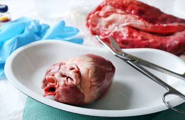 Tablo Araçları ile tıbbi metal tepsi kalp organ yakın çekim