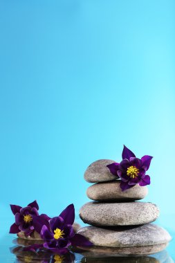 mavi arka plan üzerinde çiçekler olan spa taş yığını
