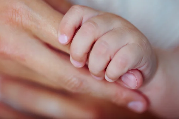 Adult and baby hands, closeup — Stock Photo, Image