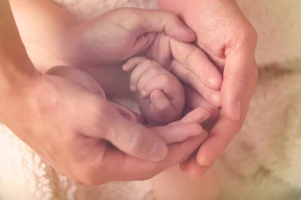 Voksne hender og babyhender, tett – stockfoto