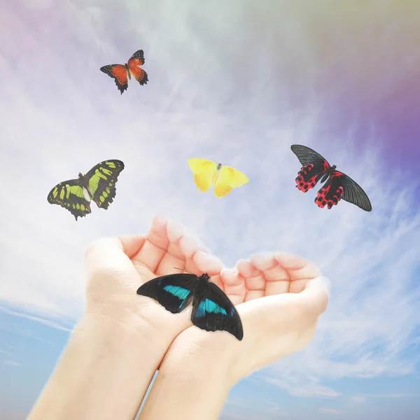 Human hands with butterfly on sky background — Stock Photo, Image