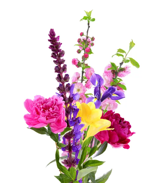 Strauß schöner Blumen isoliert auf weißem Grund — Stockfoto