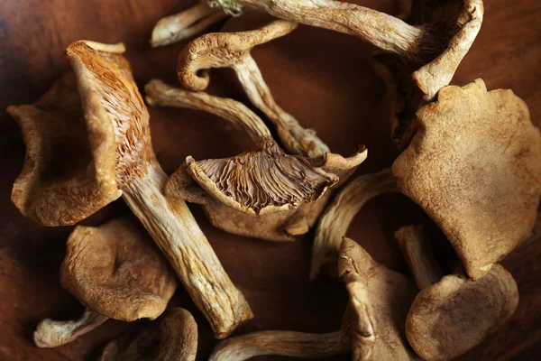 Dried mushrooms, closeup — Stock Photo, Image