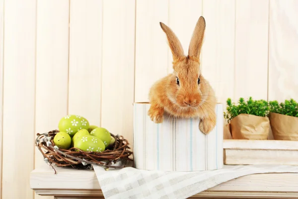 Mignon lapin rouge avec des œufs de Pâques sur étagère sur fond mural en bois — Photo