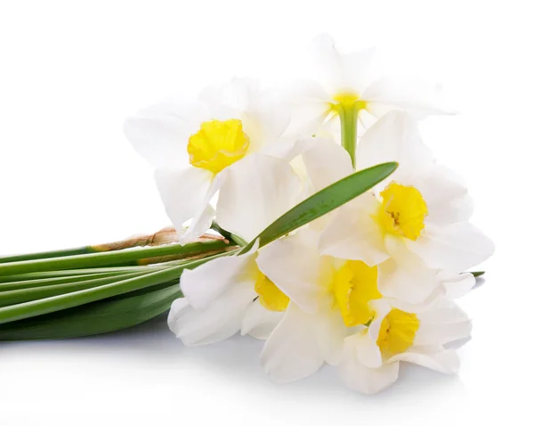 Bellissimo bouquet di narcisi isolati su bianco — Foto Stock