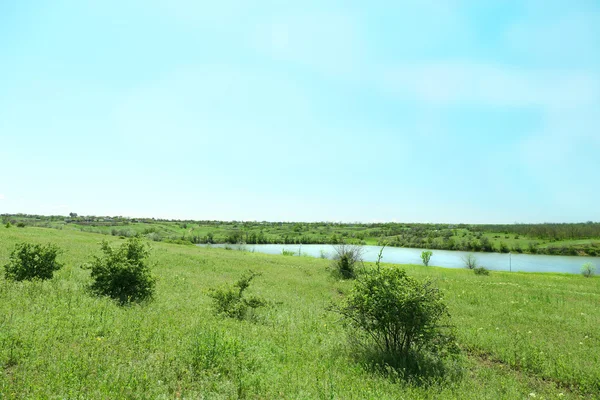 Meadow with river over blue sky background — Stock Photo, Image