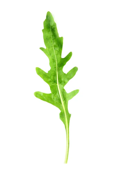 Groene arugula blad geïsoleerd op wit — Stockfoto