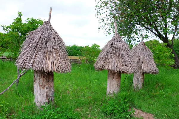 Old wooden bee hives in garden — 스톡 사진