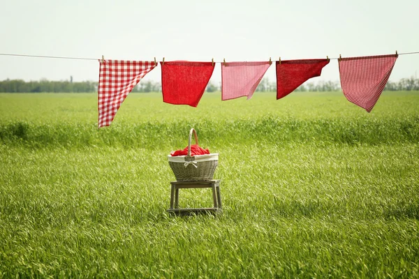Tvätt linje med kläder i fältet — Stockfoto