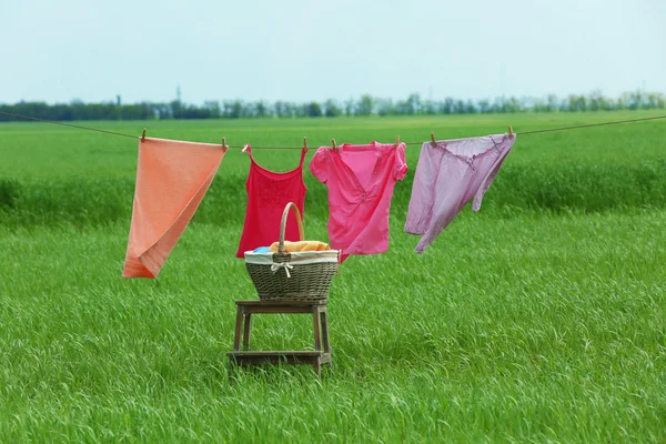 Wasserij lijn met kleren in veld — Stockfoto