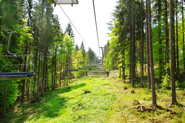 Beautiful view of green grass and trees from cable car — Stock Photo, Image