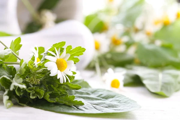 Herbal dan bunga dengan mortir, pada latar belakang cahaya — Stok Foto