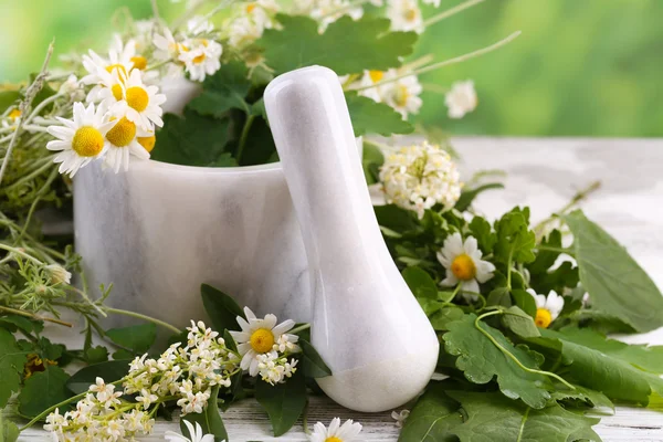 Kräuter und Blumen mit Mörser, auf Holztisch, auf hellem Hintergrund — Stockfoto