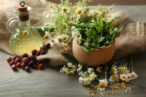 Herbs, berries and flowers — Stock Photo, Image