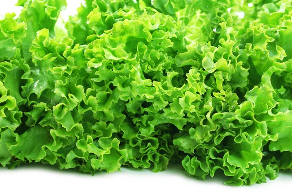 Lechuga fresca, primer plano — Foto de Stock